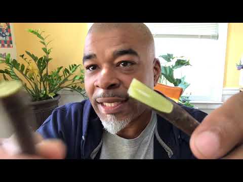 GRAFTING fruit trees 101 STEP by STEP 🍐🍎🍋🍊🍌🥭🍑🍇🍒