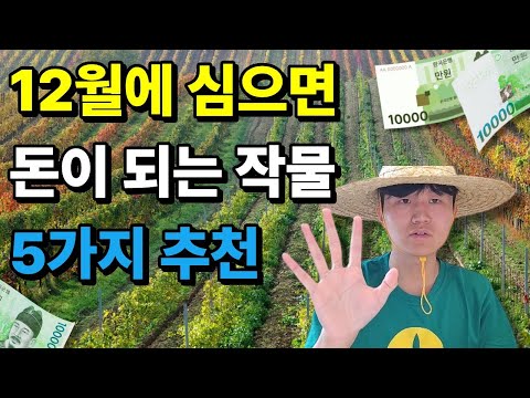 12월에 심으면 돈 됩니다 | 농가 수익 터지는 작물 TOP5 #겨울작물 #농사꿀팁