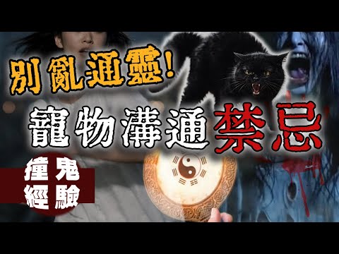 網友分享真實經驗!自以為覺醒的通靈能力竟成為她這一生的噩夢|下水道先生