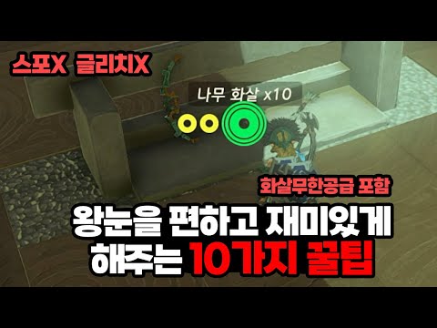 젤다:왕눈 고수든 초보든 도움이 되는 꿀팁 10가지 모음 (무한 화살 등) 1부  [젤다의 전설: 티어스 오브 더 킹덤 꿀팁, 공략]