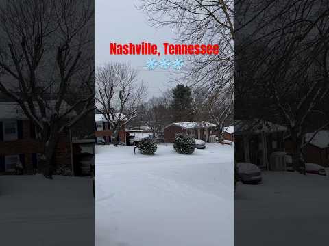 Tormenta de nieva en Nashville, Tennessee #snowstorm #Nieve #nashville #tormenta #frio #snowman #fyp
