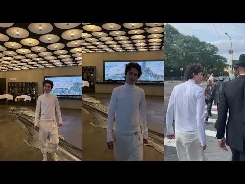 Timothée Chalamet Instagram Live 09-13-2021