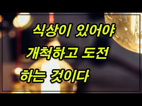 식상이 있어야 개척하고 도전하는 것이다