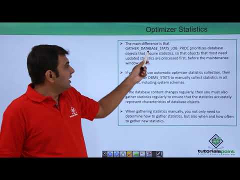 Optimizer Statistics