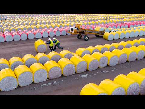 Залипательные Моменты с Рабочими, от Которых Невозможно Оторвать Взгляд