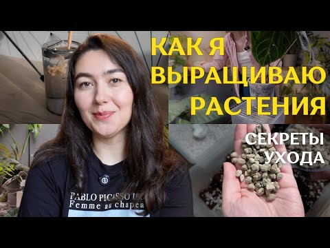 в КАКОМ ГРУНТЕ выращиваю? КАК и чем УДОБРЯЮ? | ВРЕДИТЕЛИ, полив, СВЕТ и профилактика 🪴