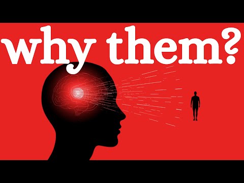 How Your Brain Chooses Your Crush