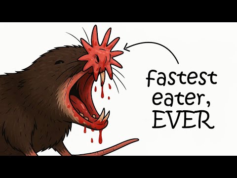 Why It Sucks to Be Born as a Star-Nosed Mole - Why You Little