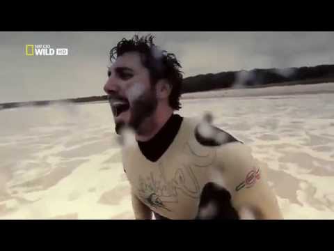 Australia's Deadliest Shark Top Documentary Films 720 HD