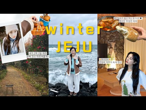 겨울 제주가 이렇게 좋다…♥ | 제주도 필승 맛집 코스 • 10만원대 독채 펜션 • 귤 따기 체험 • 디저트 카페 추천