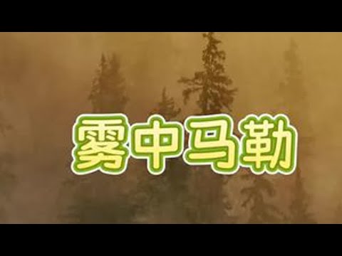 窗外十一月的夜色，弥漫着冬季的忧郁，令人想起马勒的这段慢板，漫长，优美而迷惑，如凝结了百年尘烟的雾气。#音乐#治愈系 选自马勒《第三交响曲》