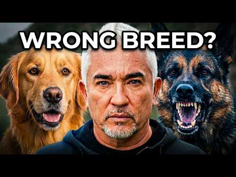 You're Making This Mistake When Choosing a Dog | Better Human Better Dog | S04E01