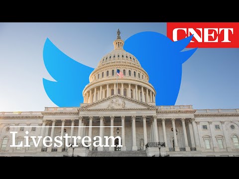 WATCH: Former Twitter Execs Testify at Congress - LIVE
