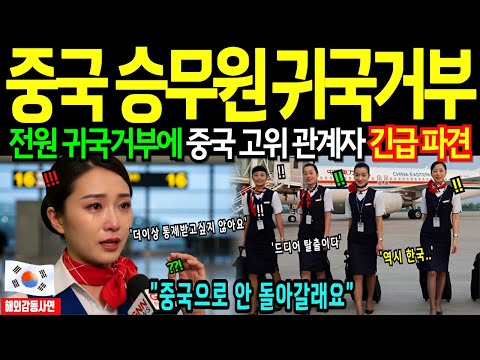 [해외감동사연] 중국 승무원 한국 첫경험후 '전원 귀국거부' 중국 항공업계 발칵!!