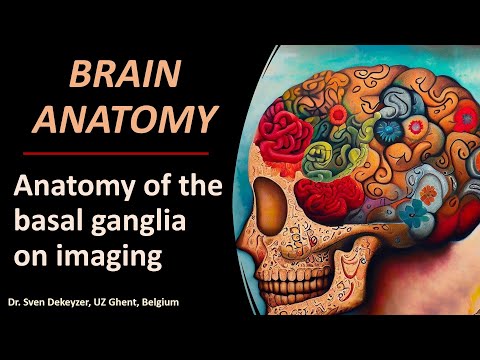 Imaging Anatomy of the Basal Ganglia