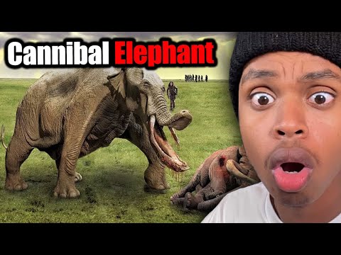 Deadly Animals That We're Glad Are Extinct