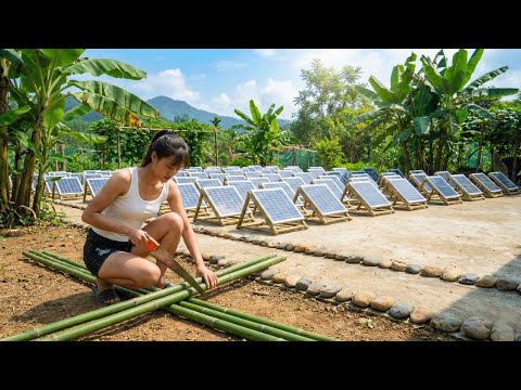 Building a Primitive Solar Energy System to Generate Free Electricity