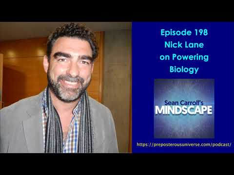 Mindscape 198 | Nick Lane on Powering Biology