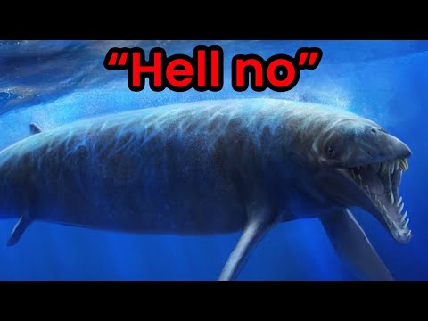 The Unsettling Origins of Whales