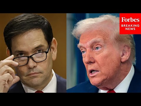 JUST IN: State Dept Holds Press Briefing After Trump Names Rubio Interim NSA After Mike Waltz Leaves