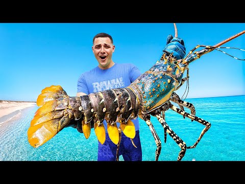 I Caught GIANT Sea Creatures To Feed My Pets...