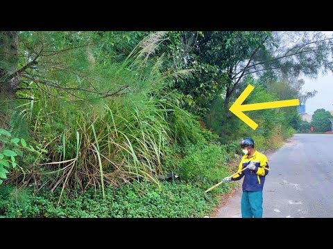 Cleaning the World's Scariest Sidewalk: The Nightmare Hidden Inside the Wall!