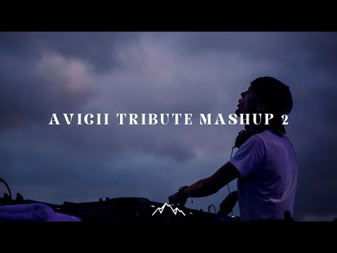 Avicii Tribute Mashup