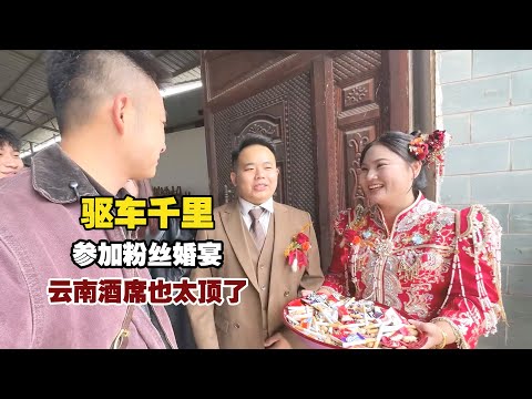 A 1000km Drive to a Fan's Wedding: Exquisite Yunnan Banquet Impresses