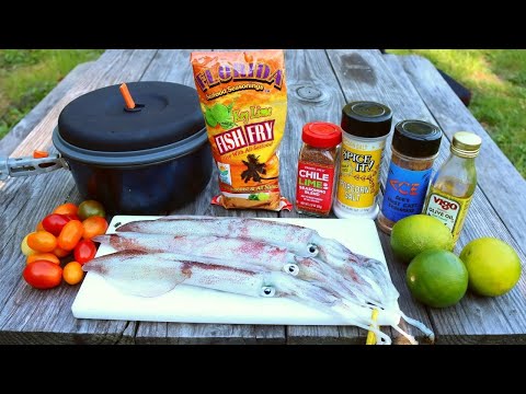 Excellent SQUID Catch n' Cook (ft. Zach Fowler)