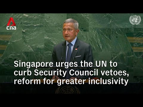 Singapore calls on UN to constrain Security Council vetoes, reform for greater inclusivity