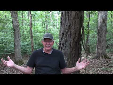 Do I Carry With a Loaded Chamber?