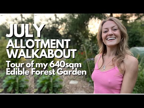 July Plot Tour | Allotment Turned Forest Garden