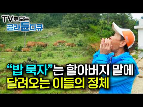 돈 많이 벌어서 아파트도 지어주겠다는 할아버지의 털손주｜무뚝뚝한 경상도 할아버지가 아끼는 소에게 호박 주는 법｜밥 묵자"는 할아버지 말에 달려오는 이들의 정체｜한국기행｜#골라듄다큐