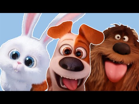 Adorable Pet Adventures! 🐰 Secret Life Of Pets | Animal Friends