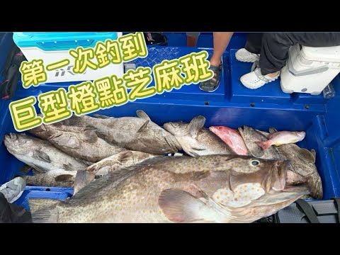 外海爆釣 絕無冷場！#香港釣魚 #船釣 #fishing