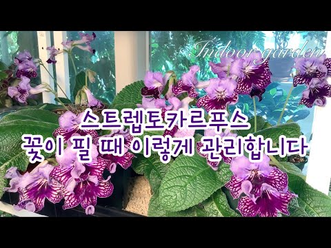 따뜻한 사랑과 응원에 감사드립니다~^^