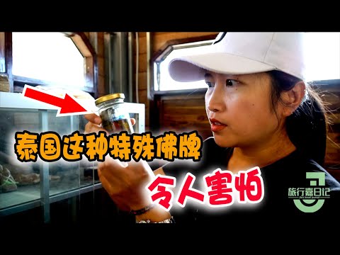 寻访泰国老挝边境降头师，在墓地里做法事，不是一般人能干的事！【旅行嘉日记】