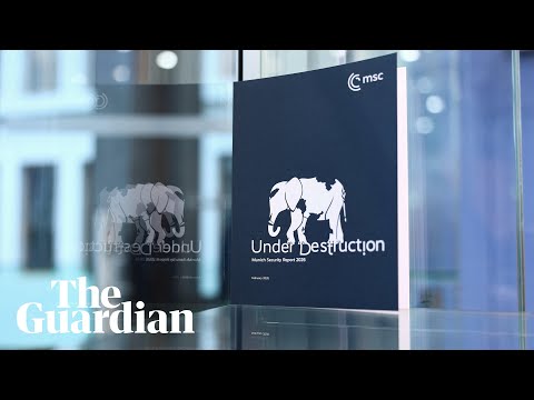 Von der Leyen, Rutte, Wadephul and Soder hold press conference – watch live