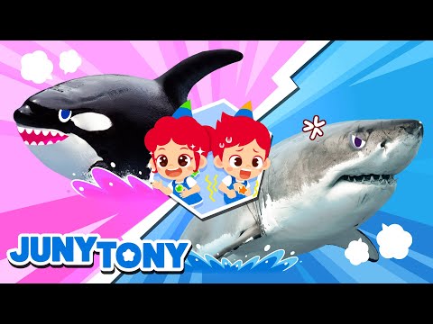 Animal Rematch! 🌊🦈 Who Will Win? Ocean Adventure | + More Songs for Kids | JunyTony