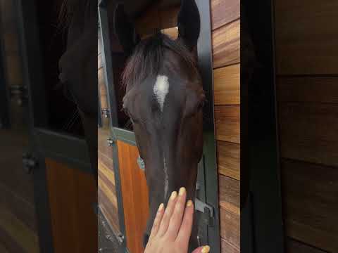 October Recap | Oliver Brown