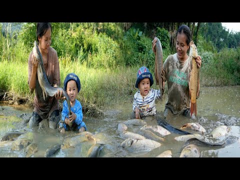 How a single mother catches fish in abandoned ponds and how she catches fish with giant bamboo traps