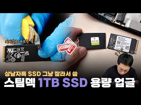 Upgrading Steam Deck capacity by 4x by cutting up a 1TB SSD... Is this possible?