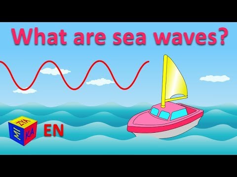 What are sea waves? How are waves formed in the ocean? Why questions for kids