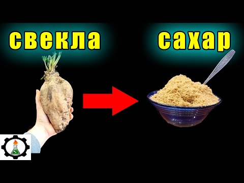 How to extract sugar from beets