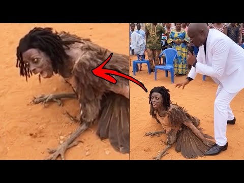 You Wouldn’t Believe This If It Wasn’t Filmed