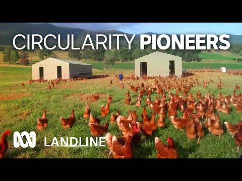 Bega's bid to become a circular economy to reduce waste ♻️ 🐔 🐄 🥛🧀 🗑️ | ABC Australia