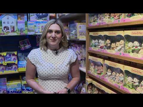 Local toy shop prepares for costly holiday season