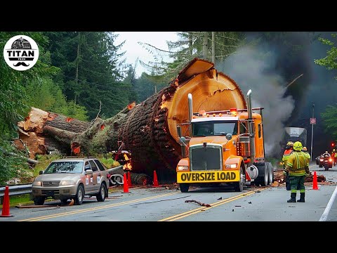 Extreme Dangerous Big Logging Wood Truck Driving Skill | Fastest Chainsaw Cutting Tree Machines #9