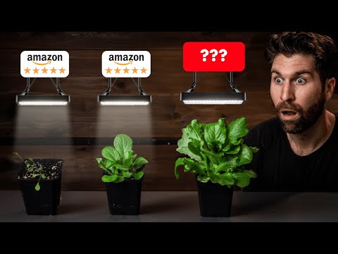 Amazon vs Vivosun Grow Lights: WATCH This Before Buying a Grow Light!