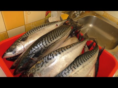 Домашние консервы из скумбрии (Рецепты для автоклава)